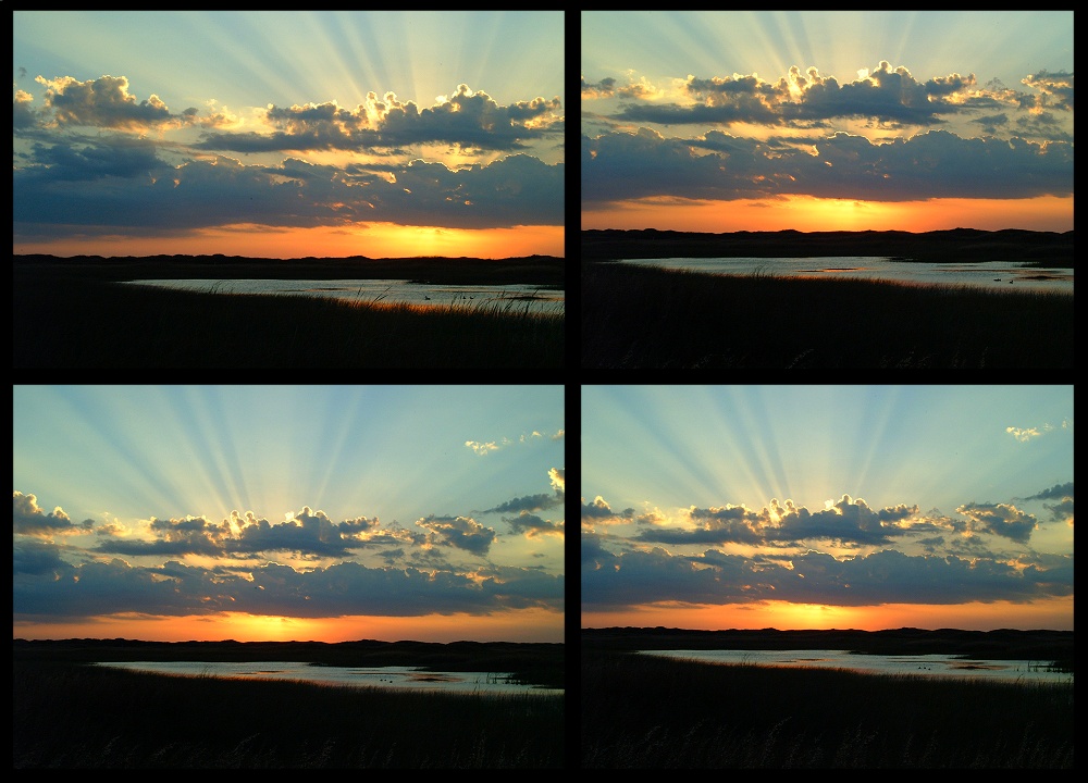 (05) sunrise montage.jpg   (1000x720)   224 Kb                                    Click to display next picture
